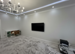 ��������� �������� ������, ������������� �-�, �����������, ��., 247 ���� 8