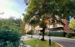 Продается квартира Алматы, Бостандыкский р-н, Рахмадиева, 27 фото 5 Продается квартира Алматы, Бостандыкский р-н, Рахмадиева, 27 фото 5