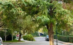 Продается квартира Алматы, Бостандыкский р-н, Рахмадиева, 27 фото 6 Продается квартира Алматы, Бостандыкский р-н, Рахмадиева, 27 фото 6