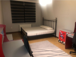 ��������� �������� ������, ��������� �-�, �������� ������, 51 ���� 13