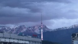 ��������� �������� ������, ��������� �-�, �������� ������, ��., 89 ���� 20