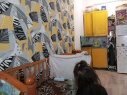 ��������� �������� ������, ������������� �-�, ���.������-3, �����������, ��., 51 ���� 14