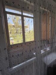 ��������� ��� ������ � �������, ����� ���� ��� ���� ����� ���� 11