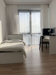 ��������� �������� ������, ������������� �-�, �������, 20 ���� 13