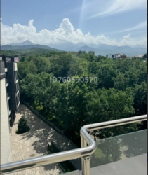 ��������� �������� ������, ������������� �-�, ������, 20/1 ���� 1