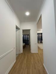 ��������� �������� ������, ������������� �-�, ������, 20/1 ���� 13