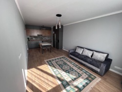 2-��������� �������� � 55 �² � 5/17 ����, ��������� 27� � ���� ��������� ���� 12