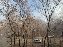 Продается квартира Алматы, Бостандыкский р-н, мкр.Орбита-1, орбита 1, 28 фото 11 Продается квартира Алматы, Бостандыкский р-н, мкр.Орбита-1, орбита 1, 28 фото 11