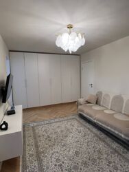 ��������� �������� ������, ��������� �-�, ����������, 272 ���� 1