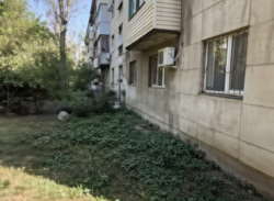 ��������� �������� ������, ���������� �-�, ���.�������-1, ���������, ��. ���� 15