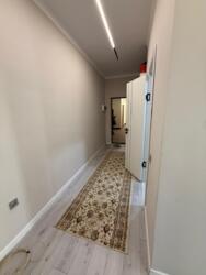 ��������� �������� ����������� ���., ������, ���������,, 31/1 ���� 14