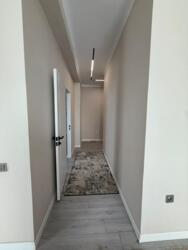 ��������� �������� ����������� ���., ������, ���������,, 31/1 ���� 12