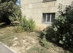 ��������� �������� ������, ���������� �-�, ���.�������-1, ���������, ��. ���� 14