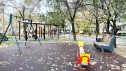 ��������� �������� ������, ���������� �-�, ���.�����-4, �����-4, 55 ���� 20