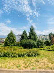 ��������� �������� ������, ������������� �-�, ���.�����, ��� �����, 157, ���� 3 ���� 19