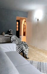 ��������� �������� ������, ����������� �-�, ������������� � ��. ������, 31 ���� 15