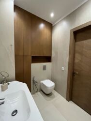 ��������� �������� ������, ������������� �-�, ����������, 343 ���� 12