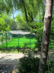 ��������� �������� ������, ��������� �-�, ����� �������, 27 ���� 2