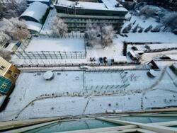 ��������� �������� ������, ������������� �-�, ���������, 225 ���� 24