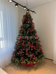 ��������� �������� ������, ������������� �-�, ���-������, ��., 41 ���� 6