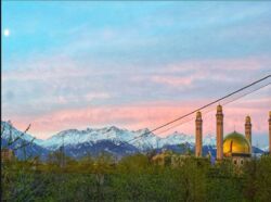 ��������� �������� ������, ������������� �-�, ����������� � ���������� �����������, 177� ���� 16