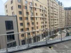 ��������� �������� ������, ������������� �-�, �������, ��., 31 ���� 8