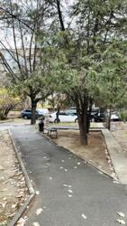 ��������� �������� ������, ���������� �-�, ���.�����-4, �����-4, 55 ���� 21