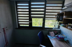 ��������� �������� ������, ������������� �-�, ���������, ��., 29 ���� 6