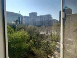 ��������� �������� ������, ������������� �-�, ��� ��������, 15 ���� 2