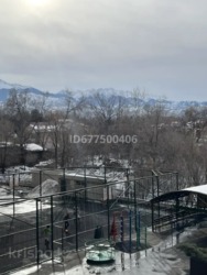 ��������� �������� ������, ������������� �-�, ���������, 20 ���� 2