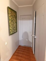 37,5��� �������/38 � �������/ ����� 9��� �����/ � �������/�������/�����������/�������/����� ����� �������/��� ����� �� ����� ��� ��� � �������� ���� ��������� ���� 14