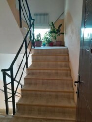 ��������� �������� ����������� ���., ������� (�����������), ������� �����, 17 ���� 3