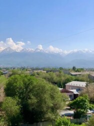 ��������� �������� ������, ���������� �-�, ���.�����-3�, ����� 3�, 88 ���� 10