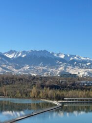 ��������� �������� ������, ����������� �-�, ���������, ��. ���� 27