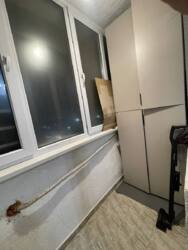 ����� ���� ���� 15