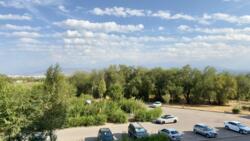 ��������� �������� ������, ����������� �-�, ��������, 1/83 ���� 3