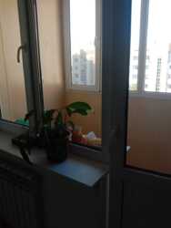 1-��������� �������� � 45 �² � 4/5 ����, ��� ��� ����� � ��� �������� 1/43 ���� 4