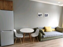 ��������� �������� ������, ������������� �-�, ������ ��������, 133/1 ���� 7