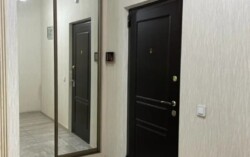 ��������� �������� ������, ������������� �-�, �����������, 247 ���� 2