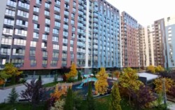 ��������� �������� ������, ������������� �-�, ����������, 101 ���� 18