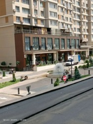 ��������� �������� ������, ������������� �-�, �������, ��., 31 ���� 2