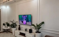 ��������� �������� ������, ������������� �-�, �����, 208/6 ���� 2