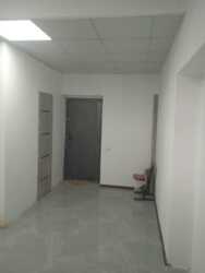 ��������� �������� ������, ����������� �-�, ��������, ���������, 38 ���� 1