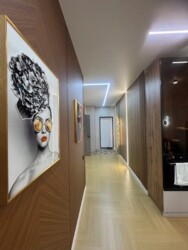 2-��������� �������� � 56 �² � 19/20 ����, ������ ����� 237 ���� 15