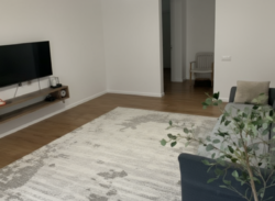 3-��������� �������� � 113 �² � 2/9 ����, �������� ������� 21/16 ���� 2