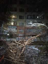 ��������� �������� ������, ���������� �-�, ���.�������-1, 61 ���� 2