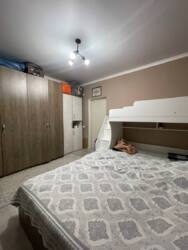 ����� ���� ���� 12