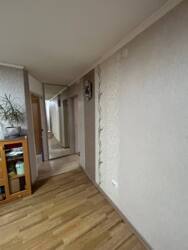 ��������� �������� ������, ������������� �-�, �������� 217 � ����������, 217 ���� 1