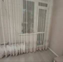 ��������� �������� ������, ������������� �-�, �������������, 23 ���� 7