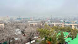 2-��������� �������� � 43 �² � 8/10 ����, ��������� 481/1 � ����� ���� 19